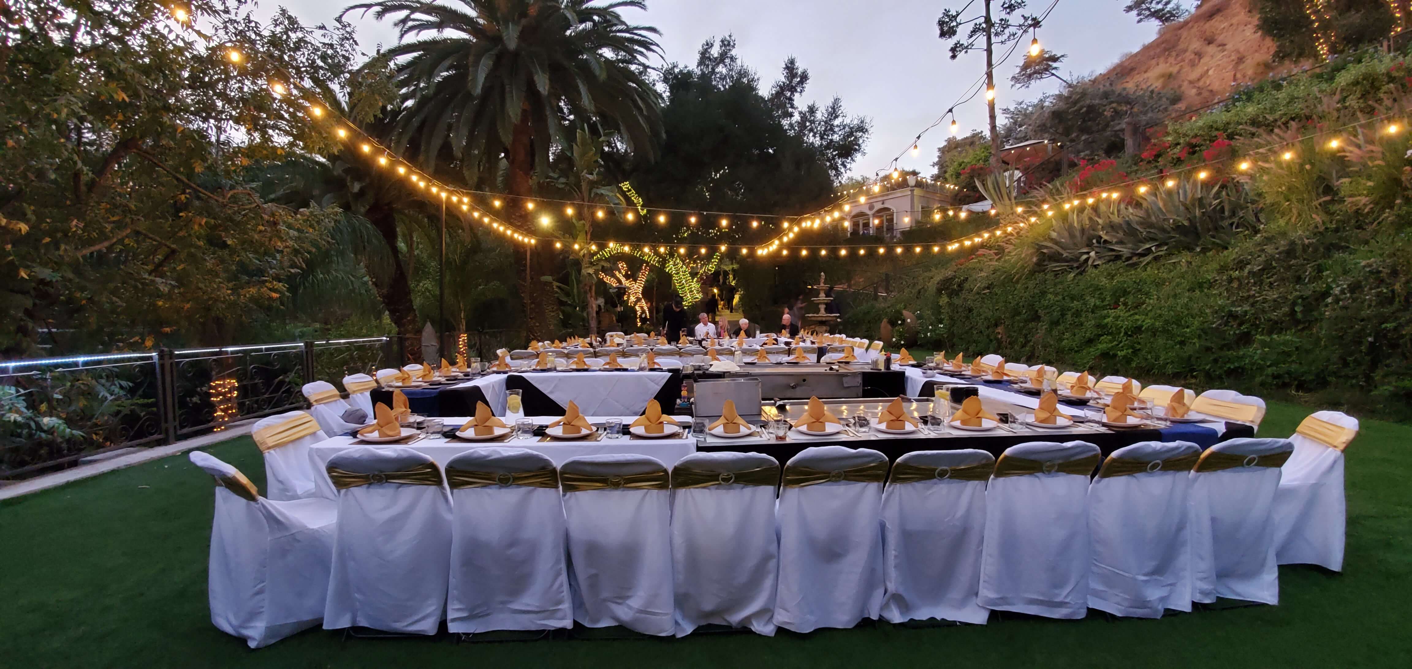 Hibachi Catering Show27